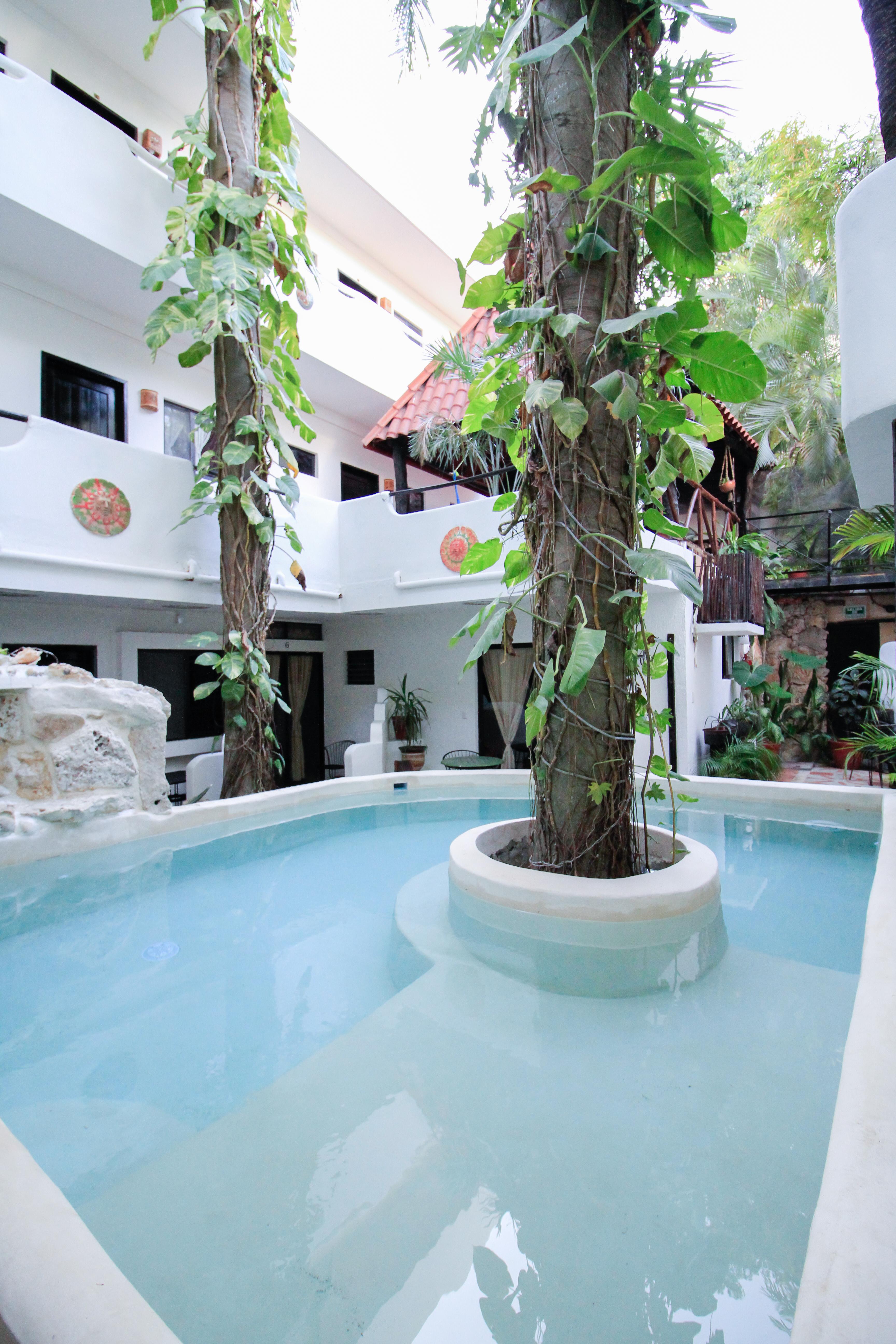 Moonshine Hotel Πλάγια Ντελ Κάρμεν Εξωτερικό φωτογραφία