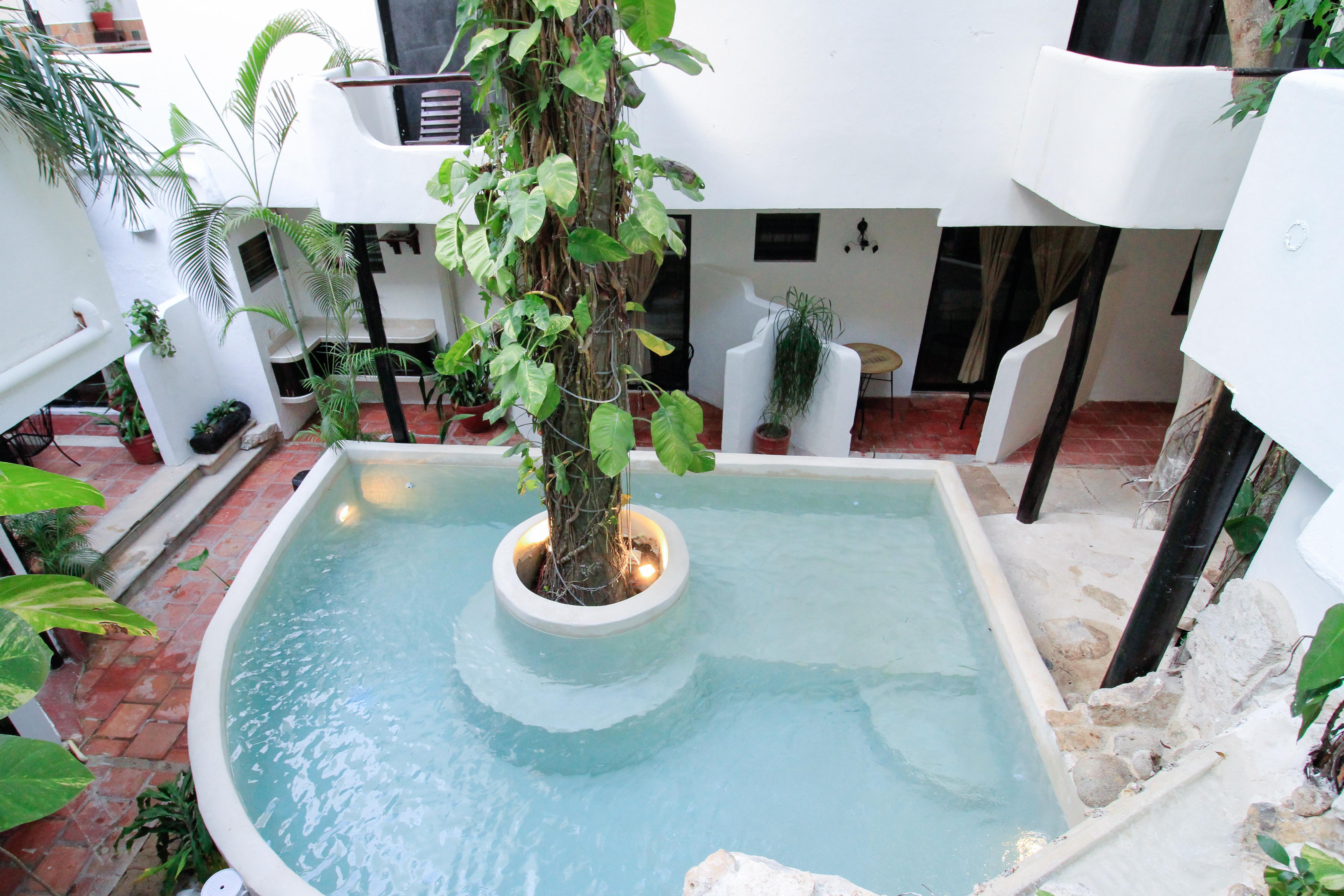 Moonshine Hotel Πλάγια Ντελ Κάρμεν Εξωτερικό φωτογραφία