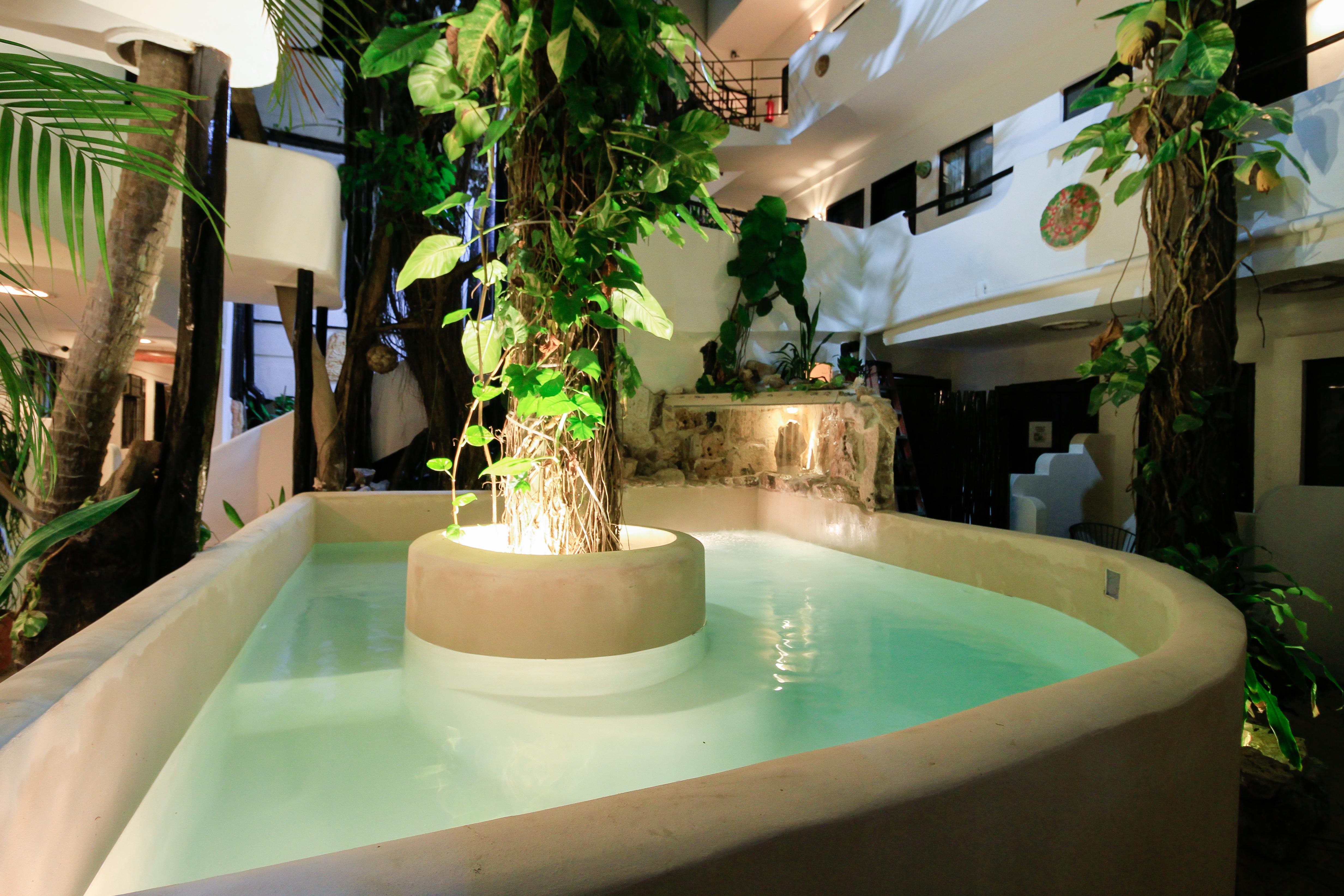 Moonshine Hotel Πλάγια Ντελ Κάρμεν Εξωτερικό φωτογραφία