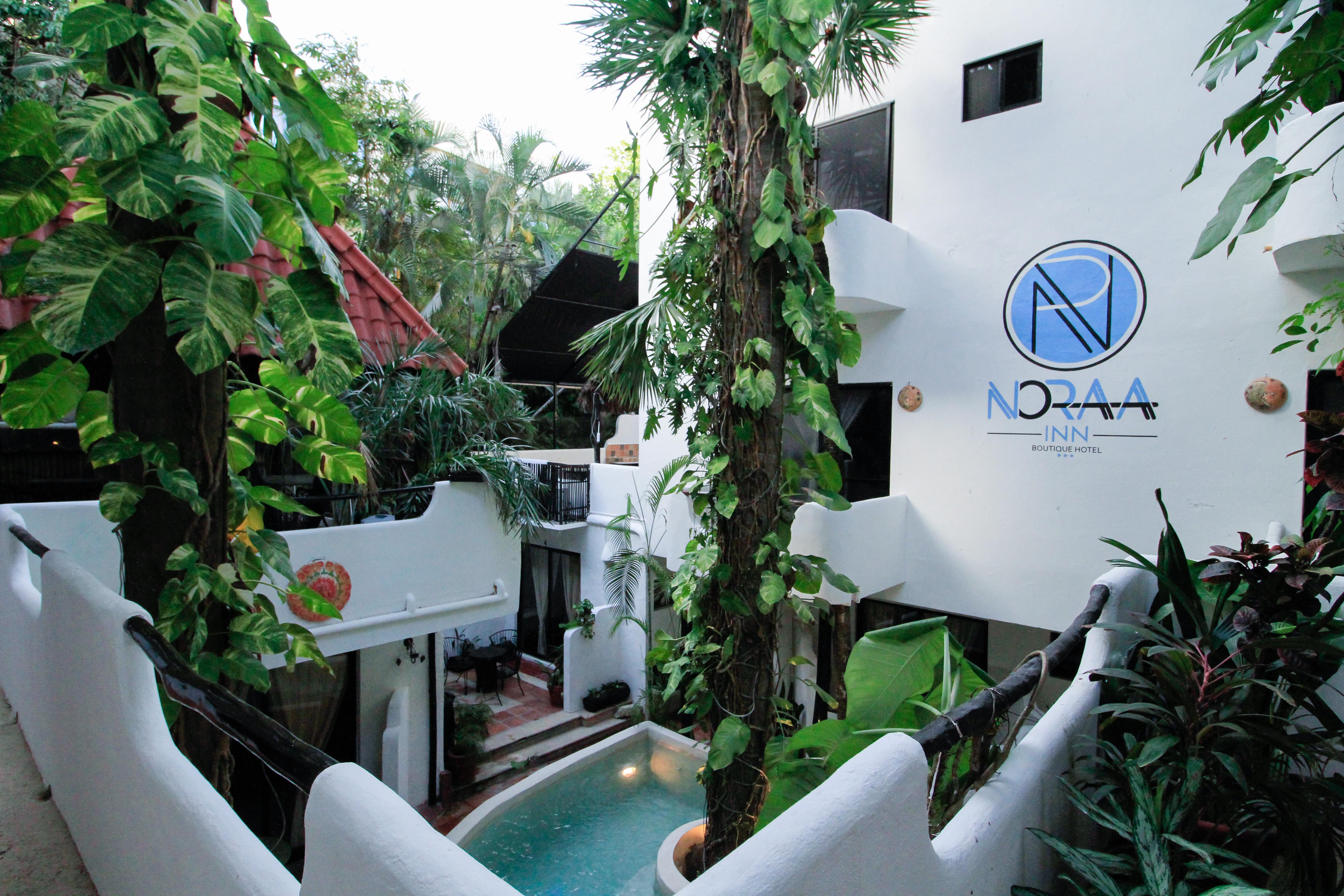 Moonshine Hotel Πλάγια Ντελ Κάρμεν Εξωτερικό φωτογραφία