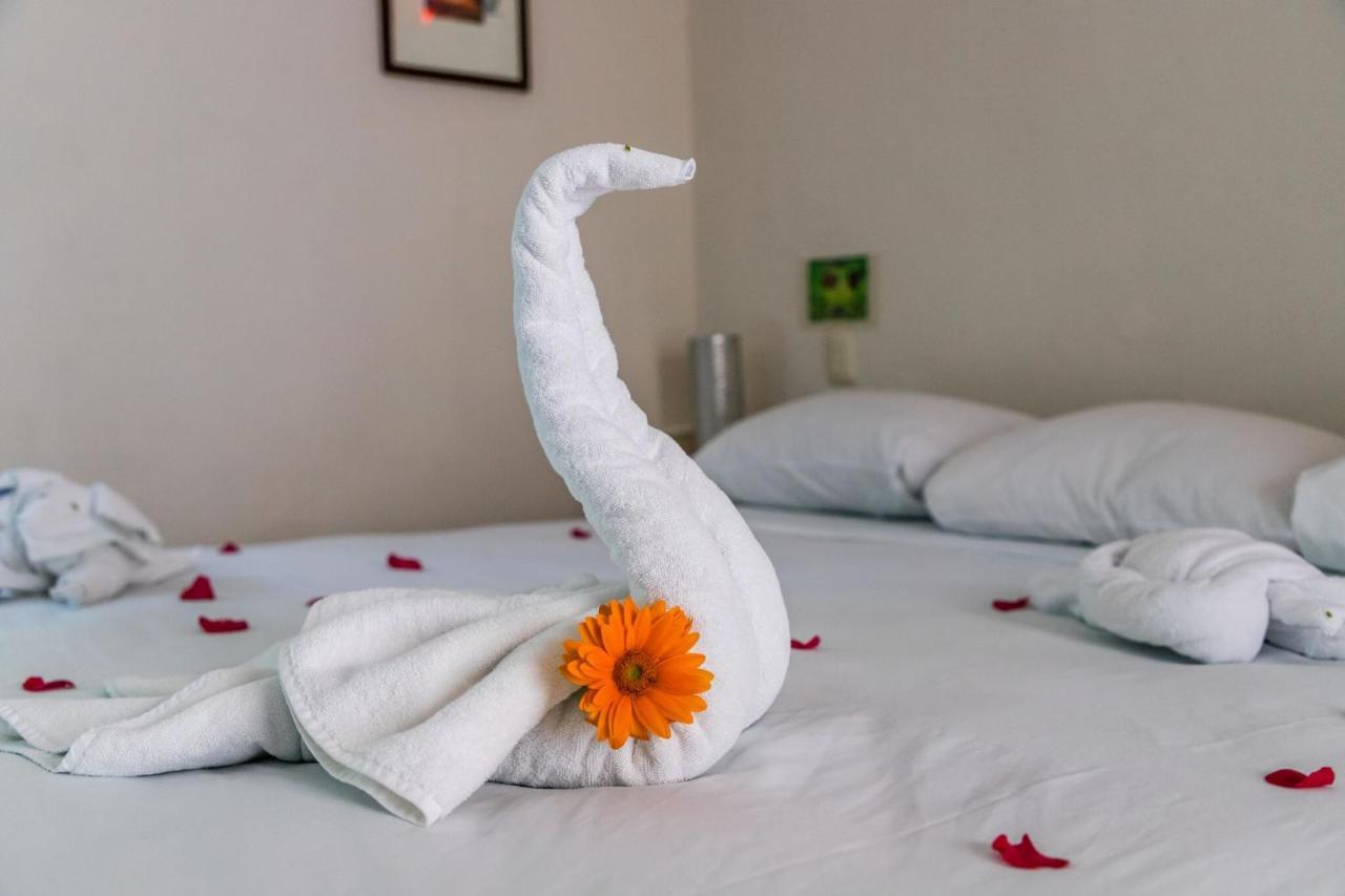 Moonshine Hotel Πλάγια Ντελ Κάρμεν Εξωτερικό φωτογραφία